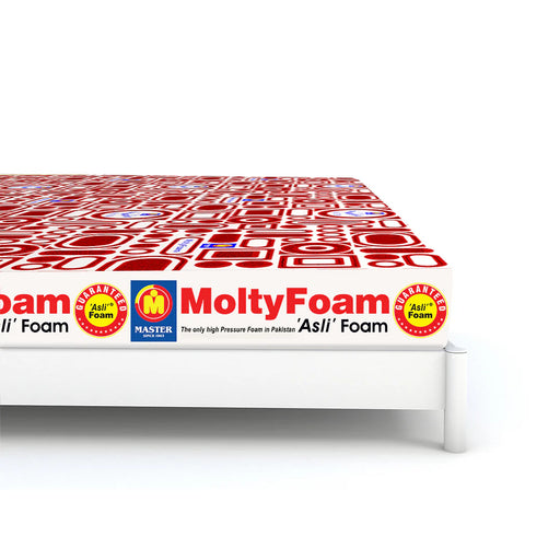 king Molty Foam