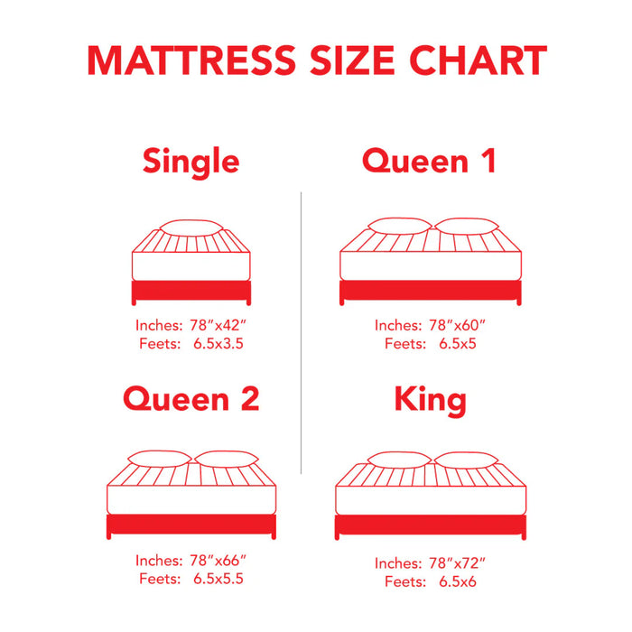 king Molty Foam